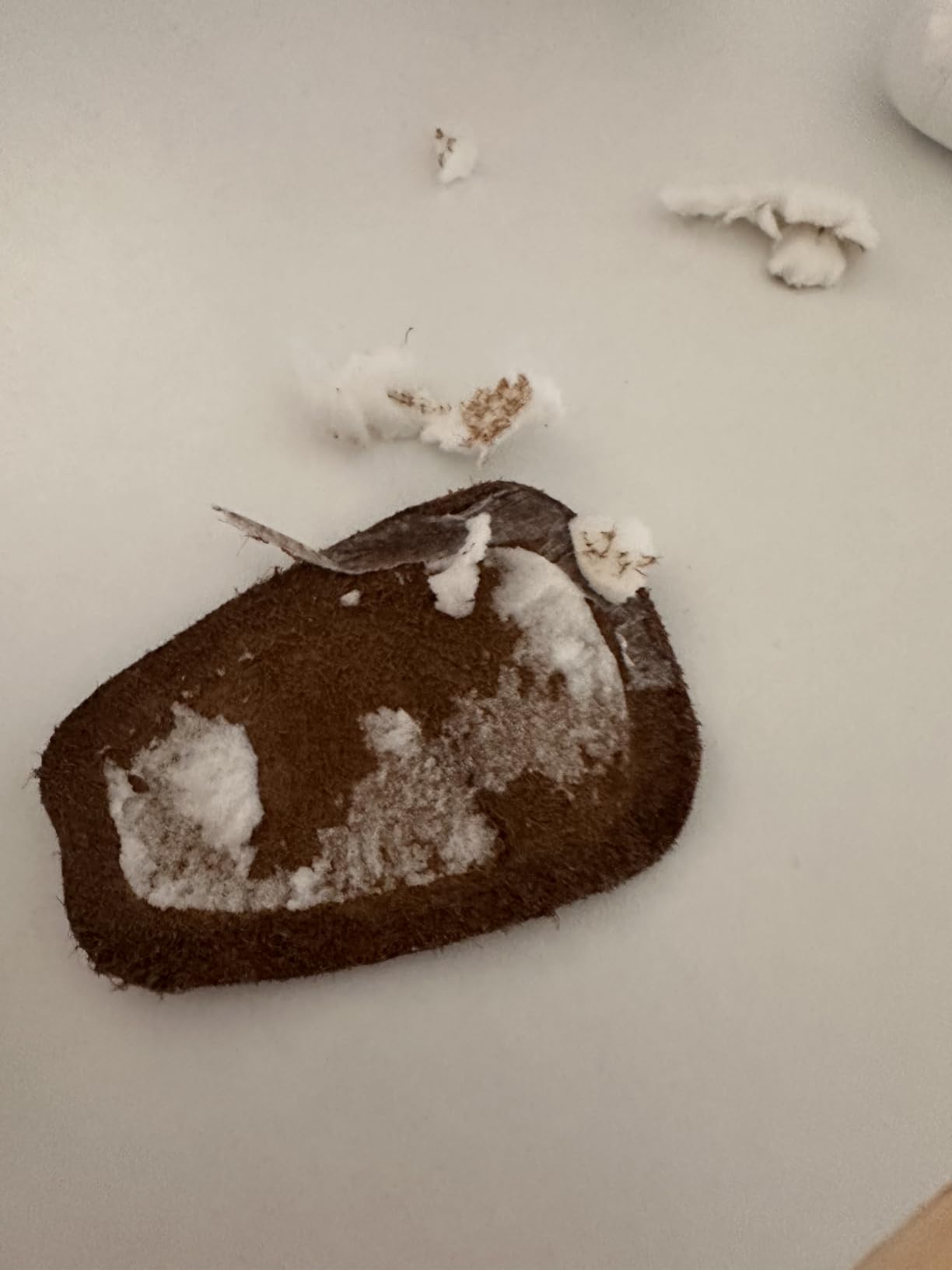 Passt perfekt unter die Lasche